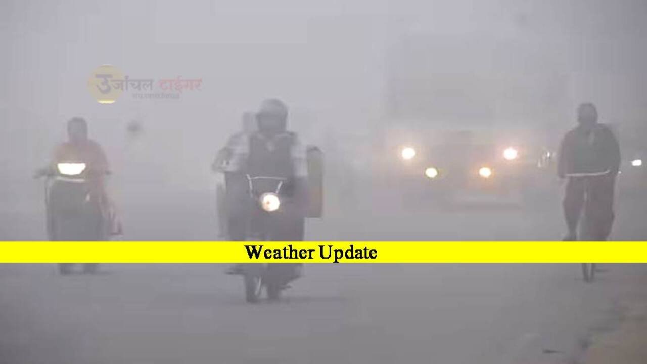 MP Weather Update : मध्य प्रदेश में घने कोहरे के साथ-साथ हो रही हल्की बारिश, देखें अपडेट