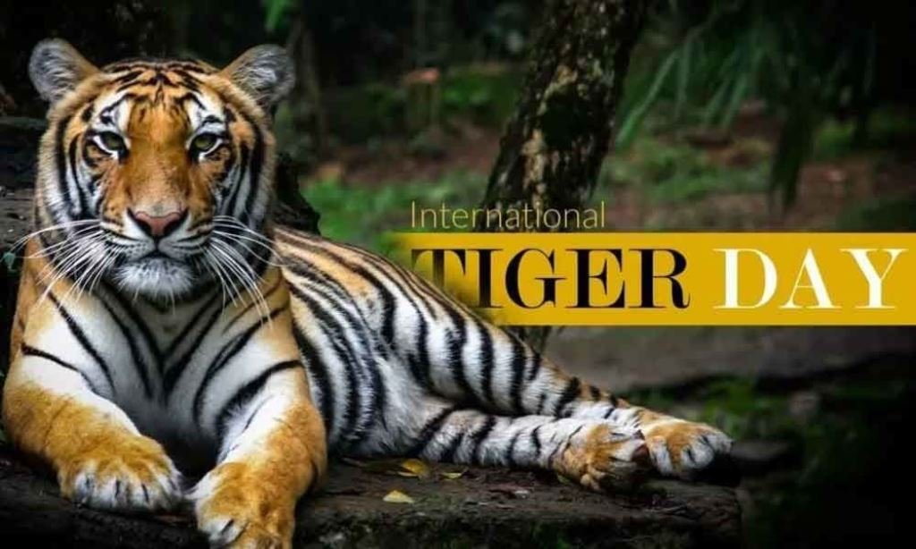 International Tiger Day के मौके पर मोहन यादव आज भोपाल में राज्य स्तरीय कार्यक्रम में होंगे शामिल।